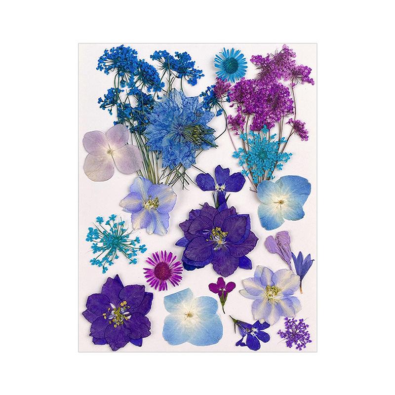 Прессованные сушеные цветы для наполнителей из смолы для изготовления ювелирных изделий. Настоящие натуральные растительные цветы для украшения ногтей.