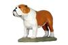 Buldog Angielski, Bulldog Ii  - Malowana Statuetka, Posąg Figurka, Wykonany Przez Artystę, Marka Art-Dog