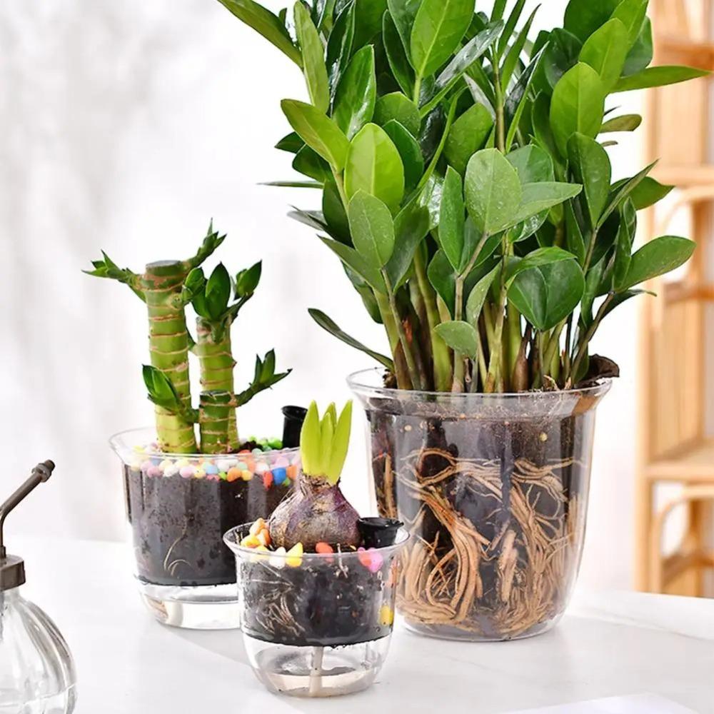 1pcs Transparent Self Watering Plant Pot Self Watering Planter Pot Flowerpot  Indoor Plants