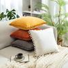 Fur Ball Pillow Ins European Style Simple Dutch Velvet Velvet Pillow Case Car Lumbar Pillow Sofa Hand Warmer Pillow Case