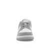 Nike Dunk Low Next Nature Light Smoke Grey женские кроссовки белые DD1873-113