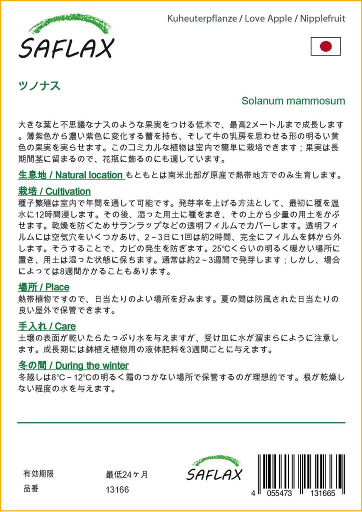 SAFLAX Love Apple / Nipplefruit - 10 семян - Solanum mammosum