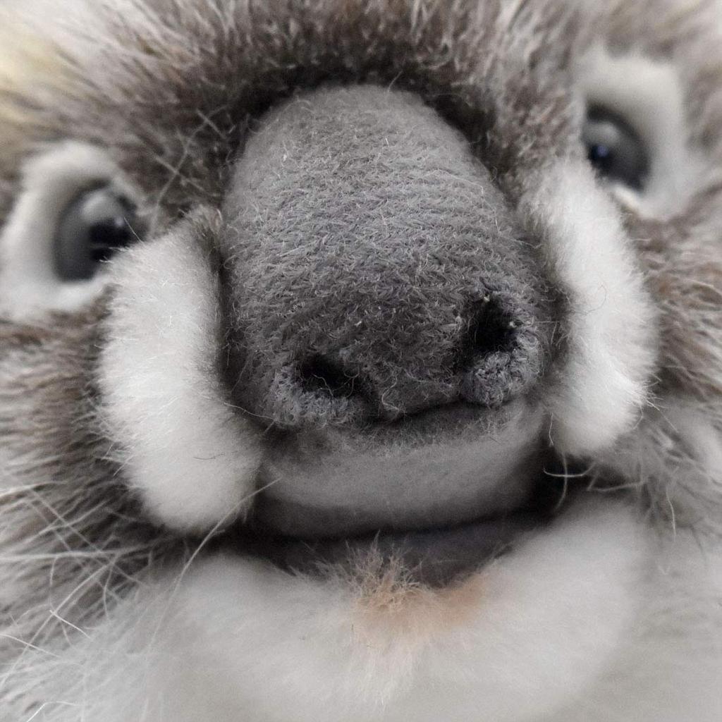 BH3525 HANSA Koala Pup 24