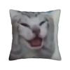 Домашний Декор Мяу Кошка Сова Мем Наволочка Аксессуары Чехол на Подушку Квадратный Разные Размеры