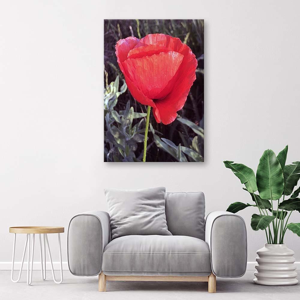 Canvas Print Red Poppy Flower Nature