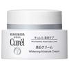 Whitening Cream 40g (Face Cream) [Parallel Import]