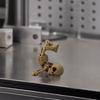 3D Printed Inverted Skeleton Figurine, Halloween Upside-Down Skeleton Statue, Spooky Skeleton Decoration for Home, Office, Holiday Party