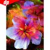 Diamond Painting With Round Stones Flowers Diamond Mosaic Flower Picture