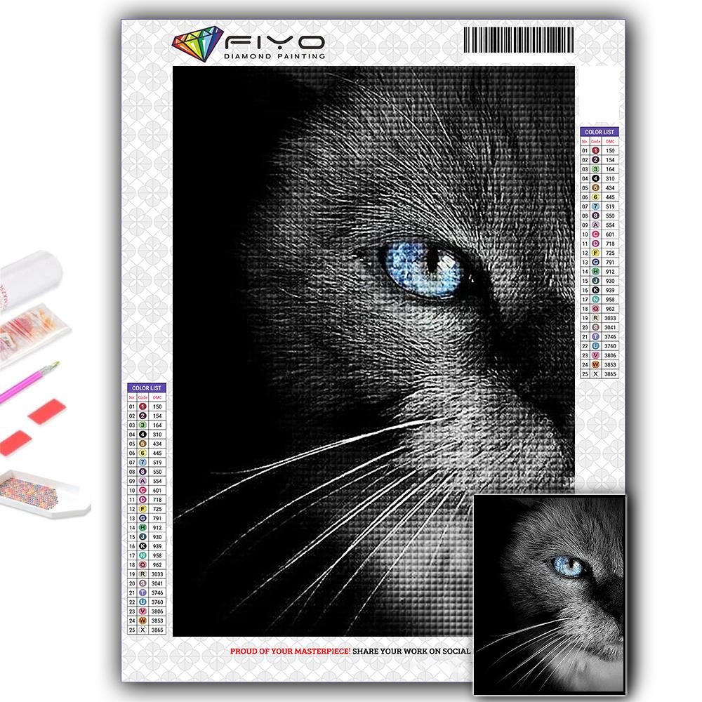 DIY 5D алмазная живопись Черный кот набор для вышивки крестом полная дрель вышивка мозаика художественная картина стразы подарок