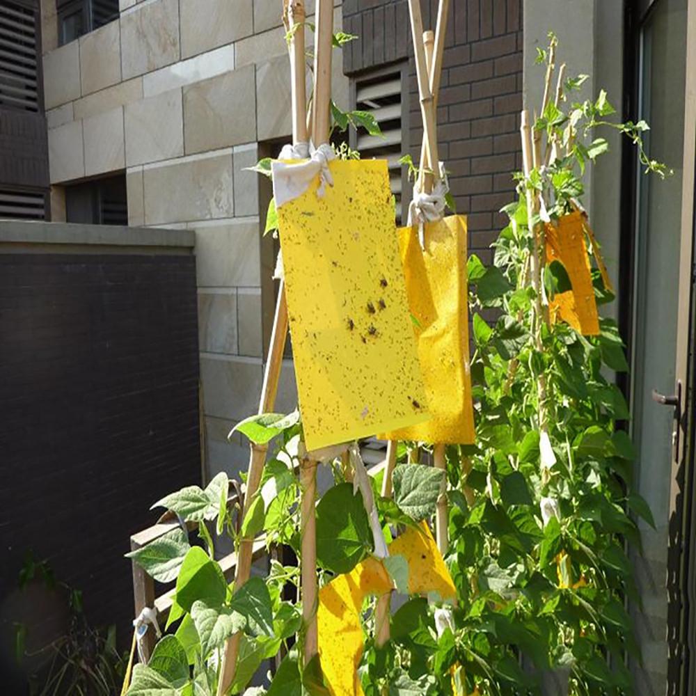 (Никита) 1 шт. ловушки для мух, ошибок, липкая доска, ловля тли, насекомых, вредителей