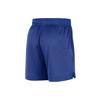 Новые баскетбольные шорты Nike NBA Мужские Rush Blue/White FB3728-495