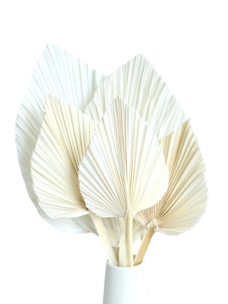 2 шт. пальмовых веера, натуральные сушеные пальмовые листья, в форме сердца, круглые веера, сушеный букет для свадьбы, домашней вечеринки, кухни, вазы, столовых композиций, украшения на годовщину