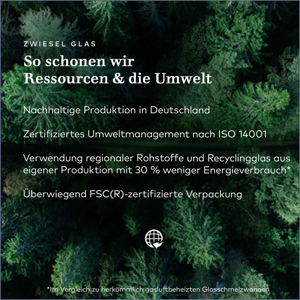 [Officially Imported] ZWIESEL Enoteca Wine Glass, 689ml, Rioja, Handmade, 122083 (Formerly Product Number 109583)