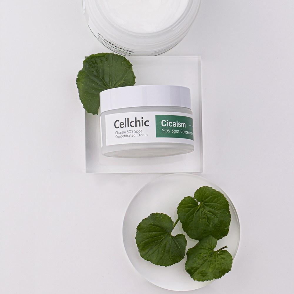 Cell Chic Cicism 4-piece Set Toner + Ampoule + Moisturizing Cream + Intensive Cream, 1 Piece