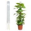 Self Watering Moss Pole Mesh Plant Support Pole Stackable Monstera Plant Support Plastic Moss Poles for Potted Climbing Plants
