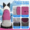 Breathable Mesh Pet Cooling Shirt Ice-Silk Pet Cool Clothes Dog Cooling Ice Vest  Beach Travel