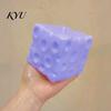 Tactile Fidget Toy Blueberry Cheese Squeeze Toy, Slow Rising Stress Relief for Soft TPR Decompression Gadget Kids Adults, Sensory Hand Exerciser Desk