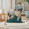 Чехол для подушки ao haru ride Шёлковый элегантный Комфорт Диван-кровать Невидимая молния