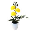 Small Ball Chrysanthemum Faux Chrysanthemum Flowerpotted Plastic Fake Flower  Home Decoration