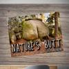 Nature Butts 2026 Calendar Jan. 2026 - Dec. 2026 Wall Hanging Calendar Funny 12 Monthly Planner White Elephant Gag Gifts for Family Friends