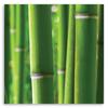 Canvas print, Bamboo details