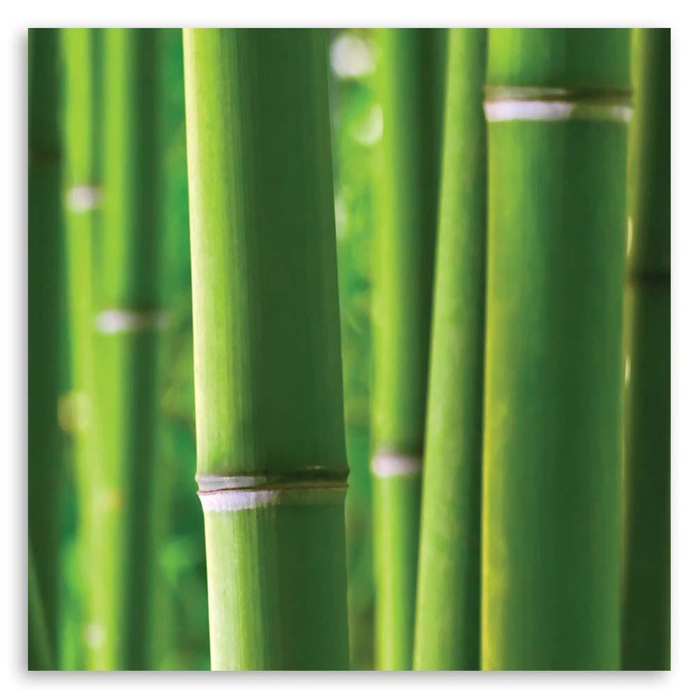 Canvas print, Bamboo details