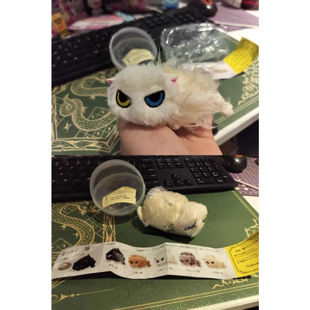 Qualia Неласковые кошки Кукла Милый пушистый кот Орнамент с характером Япония Кот Капсульная игрушка Подарок для поклонников аниме
