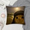 Чехол на подушку с смешным мемом про кота, квадратный, двусторонний принт, короткий плюш, чехол на диванную подушку, для спальни, прикроватной тумбочки