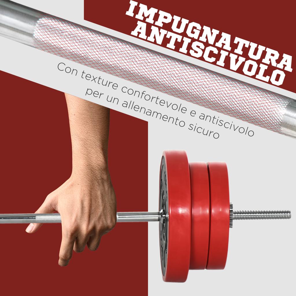 Barbell and Discs Set 65kg total for Home Workout, in Metal, Iron Sand and Rubber, Red