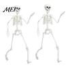 Life-like Skeleton Decoration 3ft Life Size Halloween Skeleton, Full Body Posable Plastic Prop, Realistic Poseable Prop Human Bones Model for