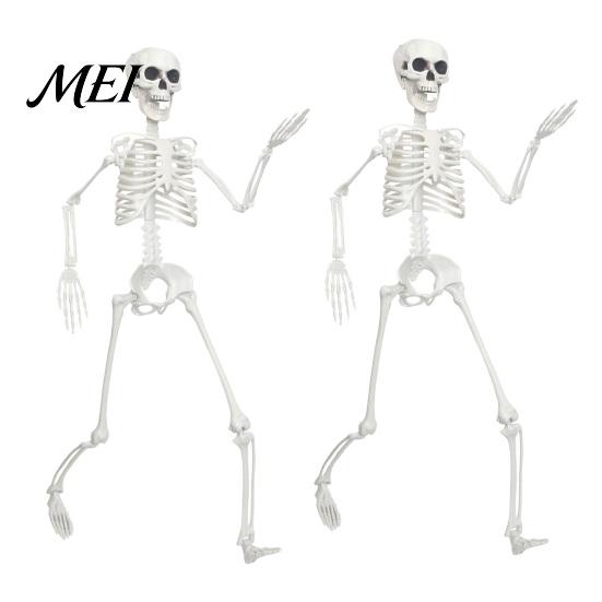 Life-like Skeleton Decoration 3ft Life Size Halloween Skeleton, Full Body Posable Plastic Prop, Realistic Poseable Prop Human Bones Model for
