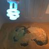 Snake Turtle Energy Saving Heat Calcium Lamp Bulb Reptile Light Succulent UV Light Heating Lamp