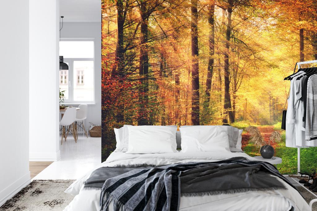 Photomural Forest Autumn Colors Self-Adhesive Mural 270x180