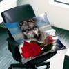 Alpha Sigma Wolf Cool Pillow Case For Sofa Decor Car Office Room Printing Cushion Cover Decorations and Protector
