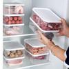 Sealed Food Grade Frozen Meat Storage Box with Lid for Household Refrigerator