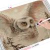 Diamond Embroidery Animal Painting Cross Stitch Owl Picture Handcraft Mosaic Home Decor