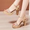 Ankle Strap Square High Heels Women Summer  Roman Sliver Gold Sandals Large Size Thick Platform Shoes For Female A0027