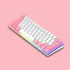 Ultra-Compact 61-Key 60% RGB Gaming Keyboard - Clicky Ergonomic Mechanical Tactile Keyboard For Windows, PC Gamers (White Pink)
