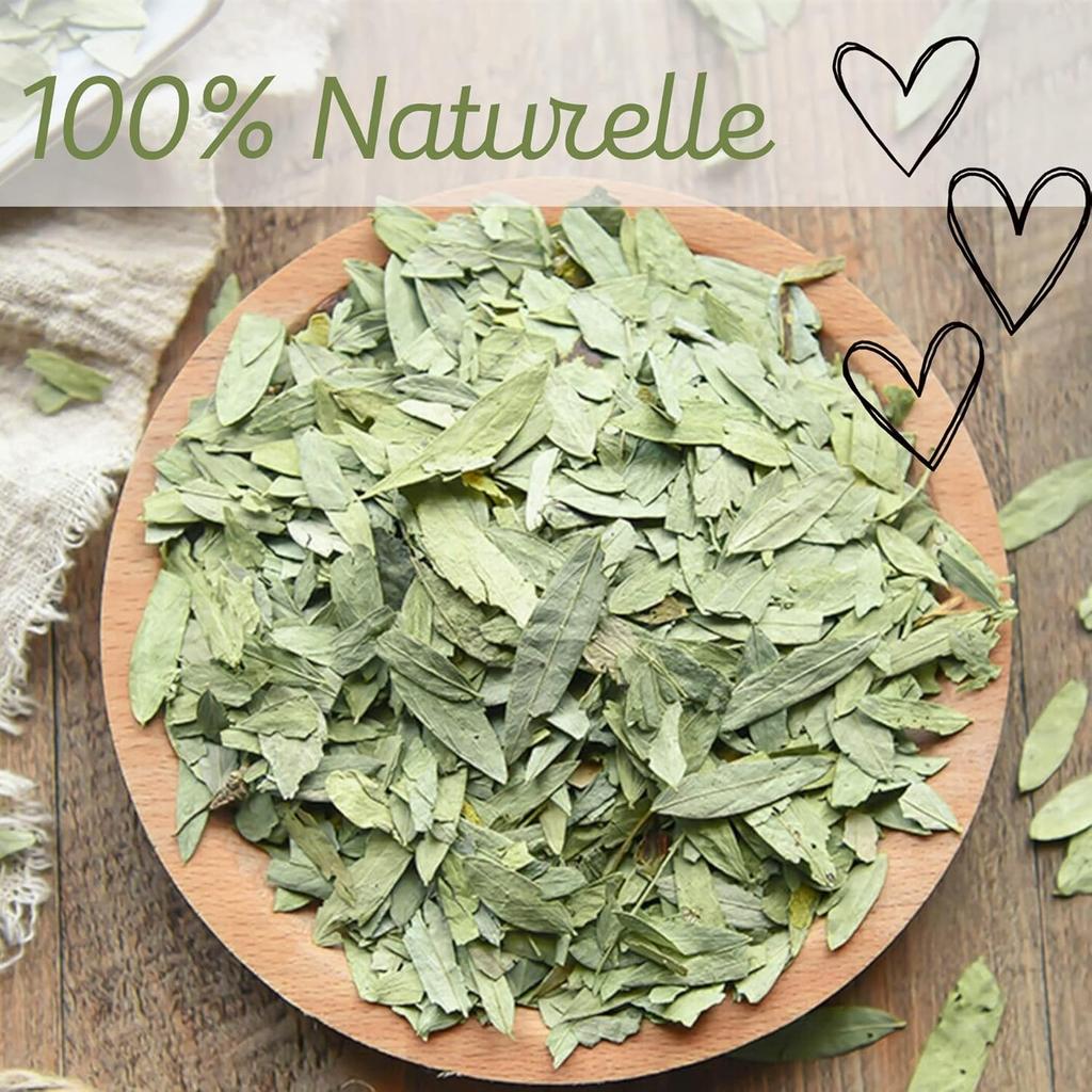 Senna Maki Leaves 200g XXL – Alexandrian Senna Whole Leaves – Powerful Natural Laxative & Colon Cleanse – Herbal Detox Tea