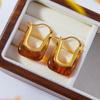 Temperament Fashion Earrings, Bag Type Copper-plated Gold-plated Ear Buckles, New Trendy Resin Earrings