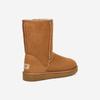 [UGG] Classic Short II [1016223-CHESTNUT]
