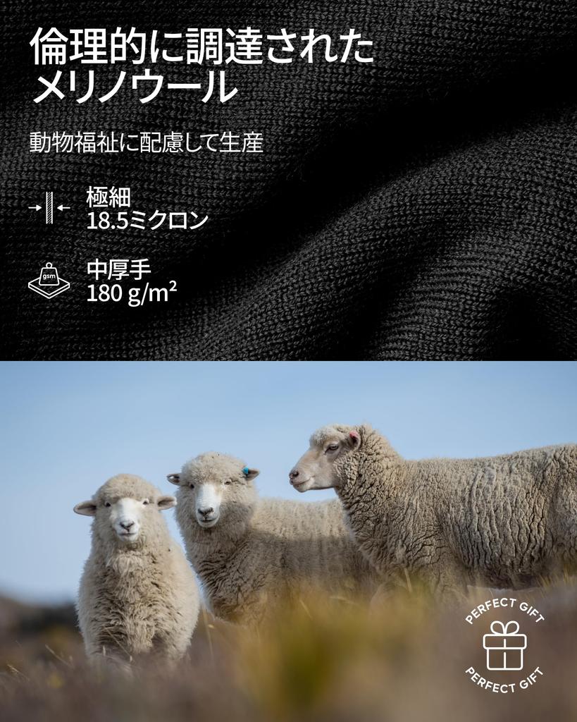 DANISH ENDURANCE Men's Merino Short Sleeve T-Shirt, Moisture-Wicking, Quick-Drying, Antibacterial, and Odor-Resistant, Green, Size M