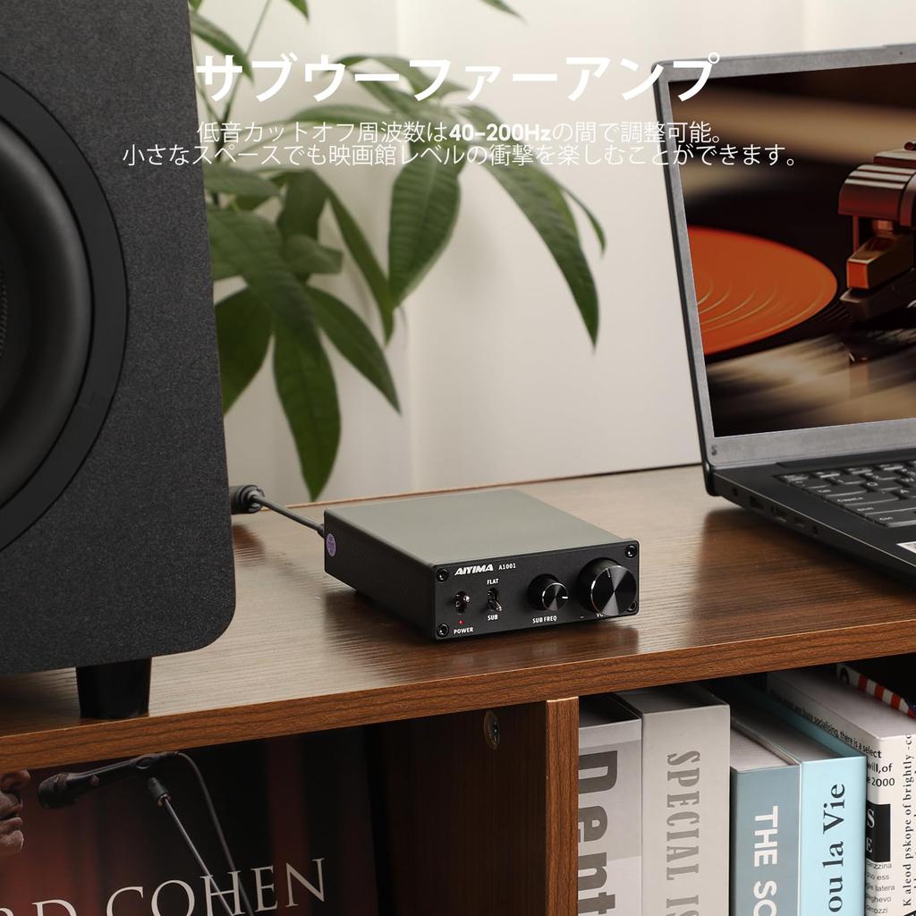 AIYIMA A1001 100 Вт TPA3116 Сабвуфер Класс D HiFi Моно RCA Переключаемая Частота Стерео Усилитель Колонки для Домашних Аудиосистем Усилитель, Усилитель,