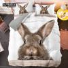 Мягкий мультяшный пасторальный кролик пододеяльник комплект постельного белья с принтом пасхальных яиц для детей детский односпальный королевский пододеяльник из микрофибры