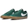 Sb Blazer Low Gt Зеленый Gum DC0603-300