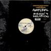 12-дюймовая пластинка ARRESTED DEVELOPMENT - Natural / Fishin' 4 Religion Y24819 Chrysalis 1993 США Рэп и хип-хоп/R&B Б/У
