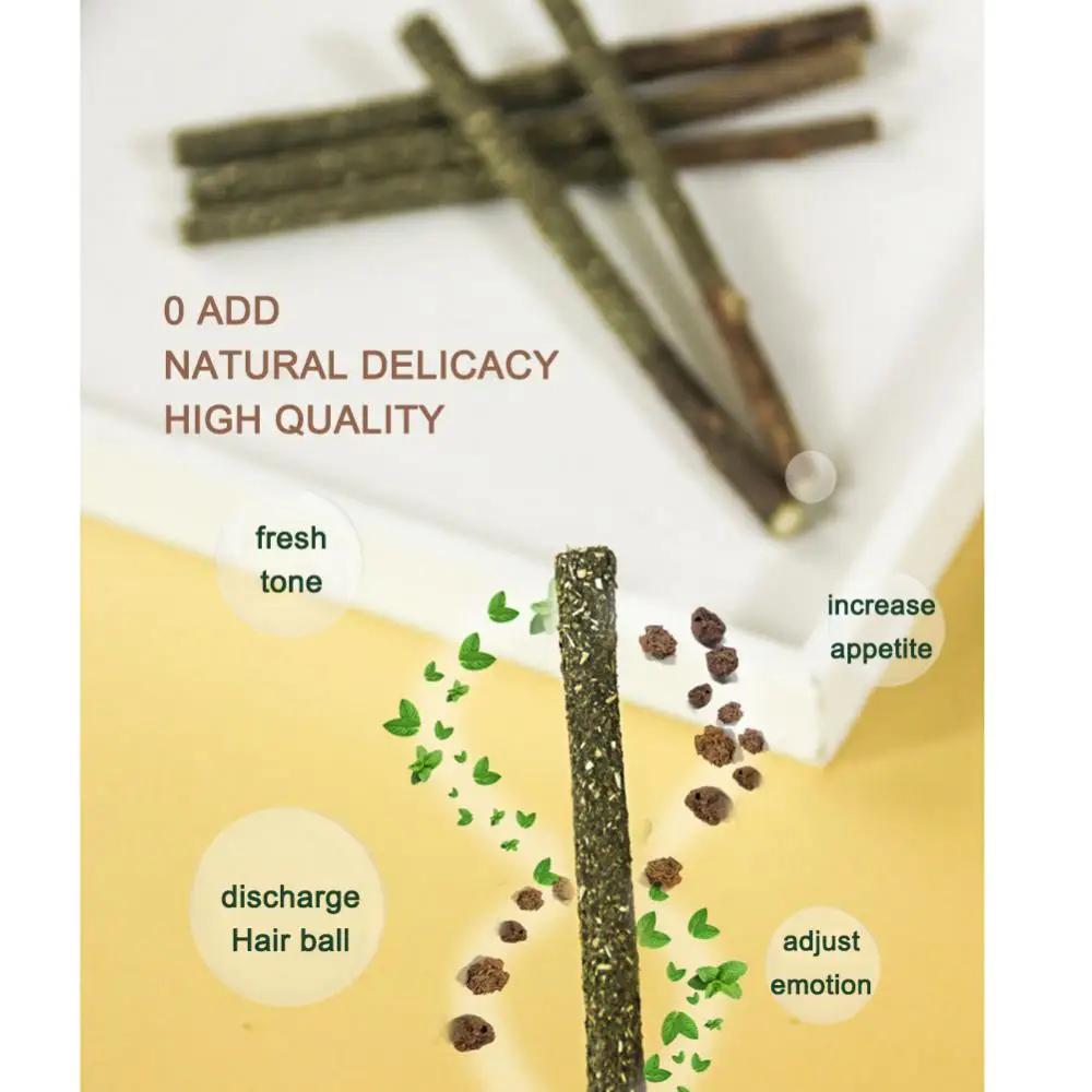Кошачья Натуральная Палочка с Кошачьей Мятой Поймана Укус Возбужденные Палочки 6шт Бруксизм Чистка Зубов Повышение Аппетита Товары для Животных Игрушки для Кошек