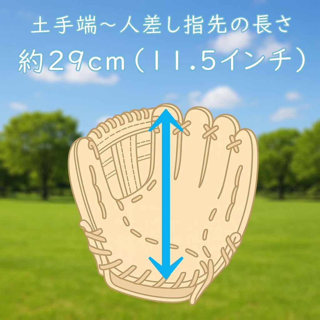 ZETT Catch Ball with Shock Absorbing School Age and BDG2012V Glove, Beginner's, Pads, 11.5-inch (Elementary Up), Left-Handed Throw, Blue,