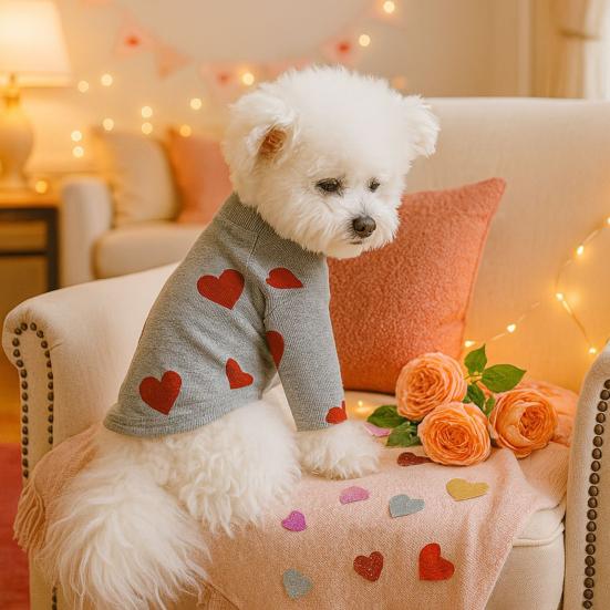 Красное сердце Собачья рубашка Любовь Пуловер День святого Валентина Принты сердец Водолазка для питомца Милая одежда для питомца Праздничная