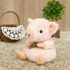 Sun Arrow Potte Plush Pig K8577